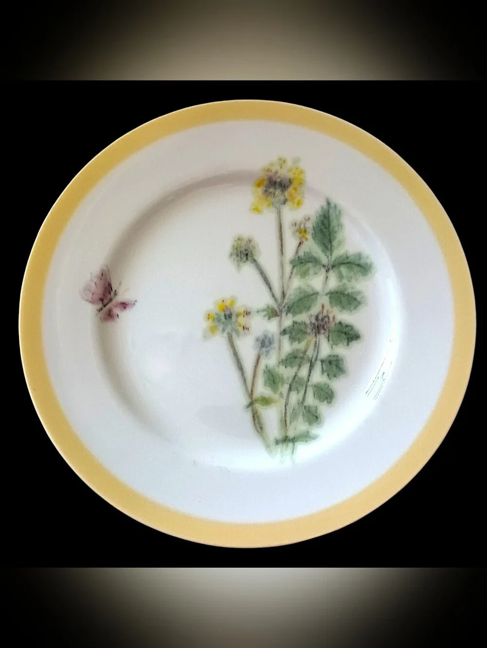 2 Williams Sonoma Flowering Herbs Salad Plates Yellow Burnet Purple Butterfly